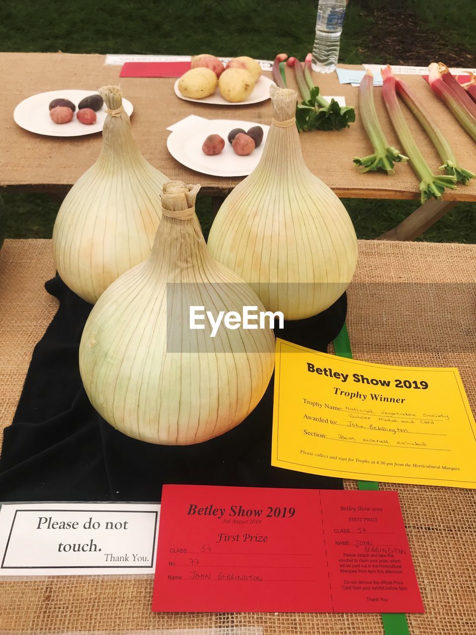 HIGH ANGLE VIEW OF VARIOUS VEGETABLES ON TABLE AT SHOP