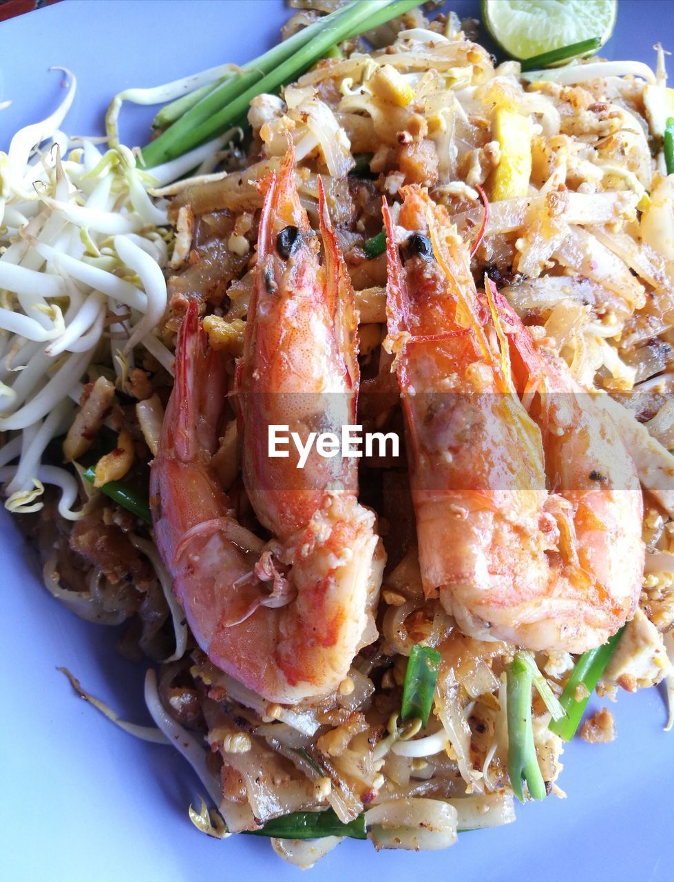 HIGH ANGLE VIEW OF FISH ON TABLE