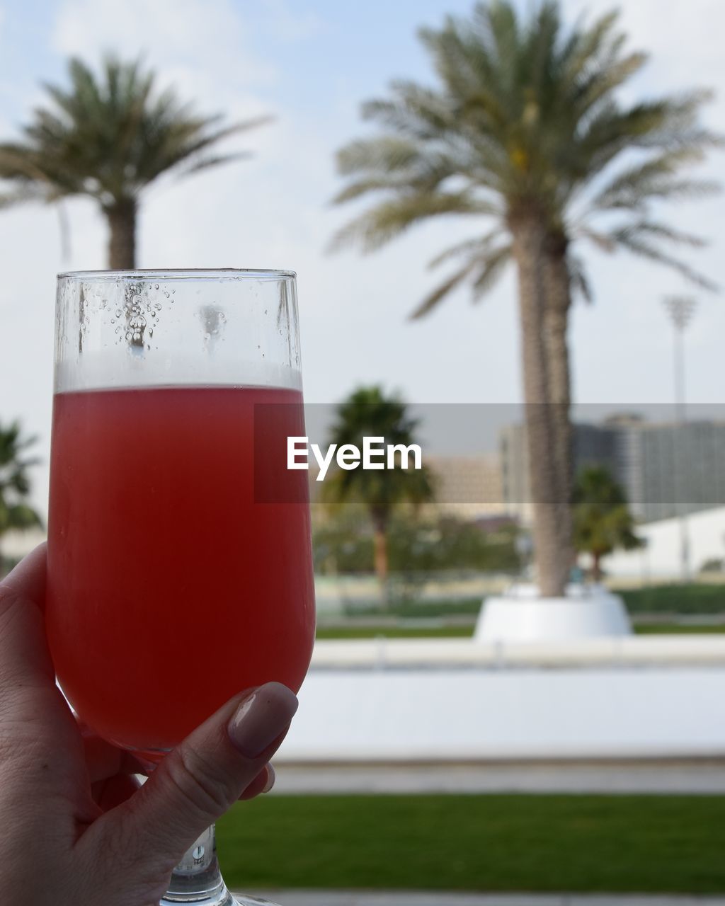 Close-up of hand holding drink against palm trees