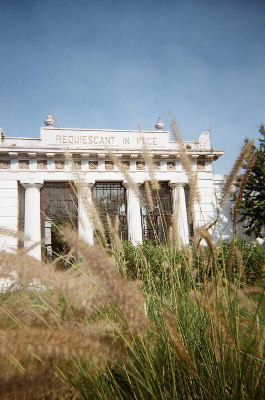 architecture, built structure, plant, sky, grass, history, nature, building exterior, the past, no people, architectural column, travel destinations, day, travel, tourism, outdoors, building, estate, clear sky, abandoned, land