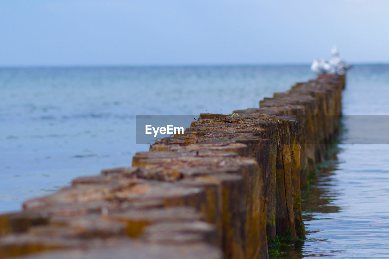 Wooden posts on sea against clear sky