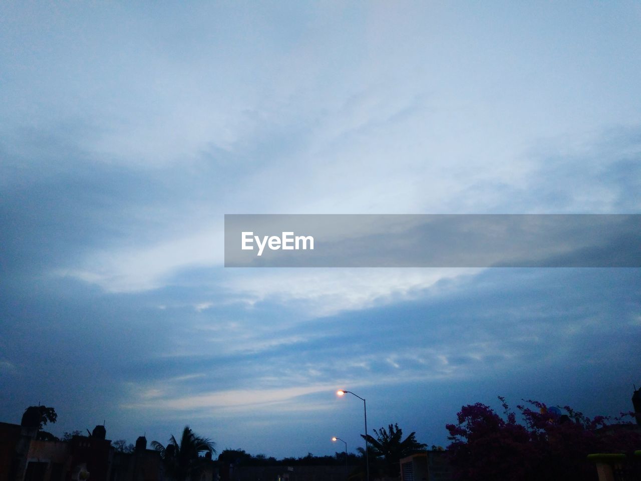 LOW ANGLE VIEW OF SKY AND TREES AGAINST THE BACKGROUND