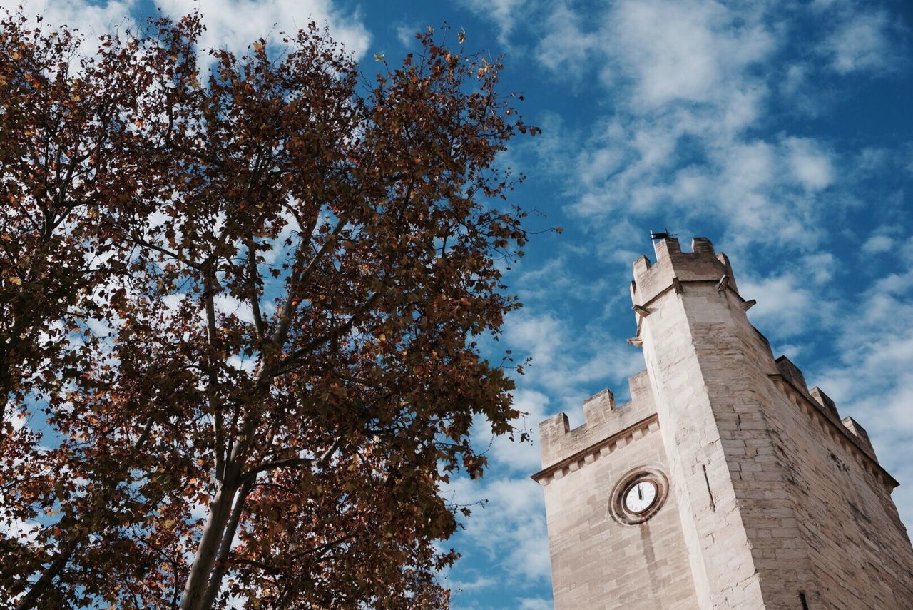 Low angle view of trees and clock tower against sky