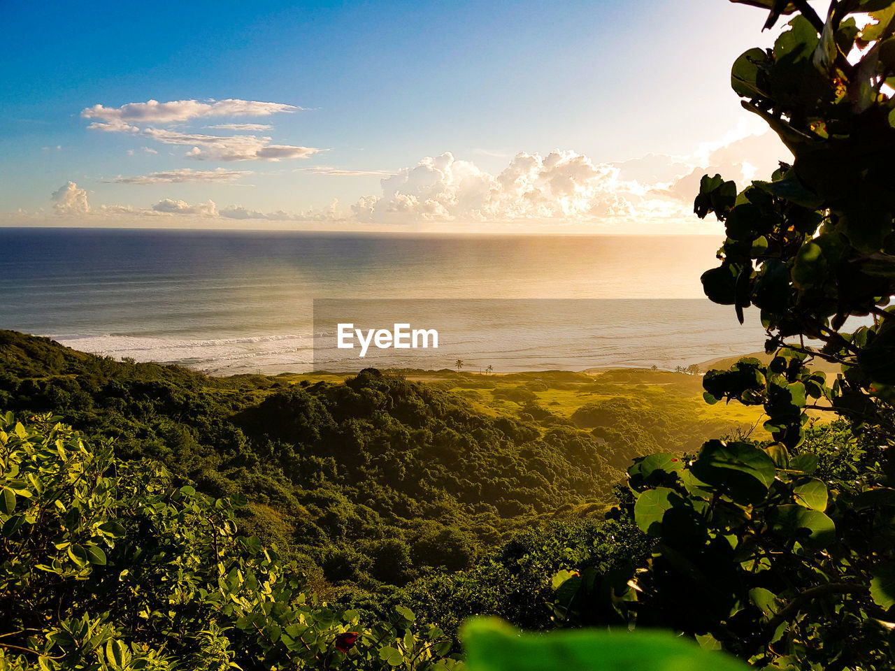 SCENIC VIEW OF SEA AGAINST SUNSET SKY