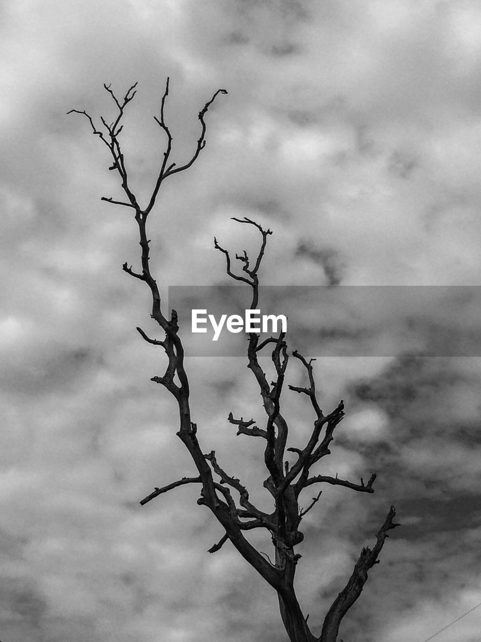 Low angle view of bare tree against cloudy sky