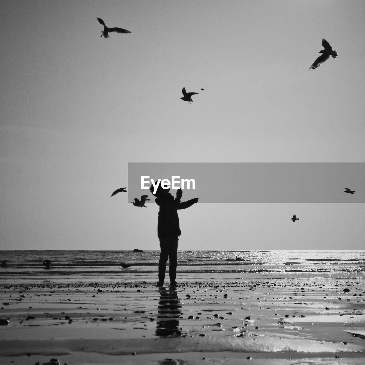 Boy looking at birds flying at seashore against sky