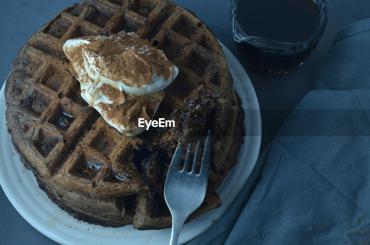 HIGH ANGLE VIEW OF ICE CREAM IN PLATE