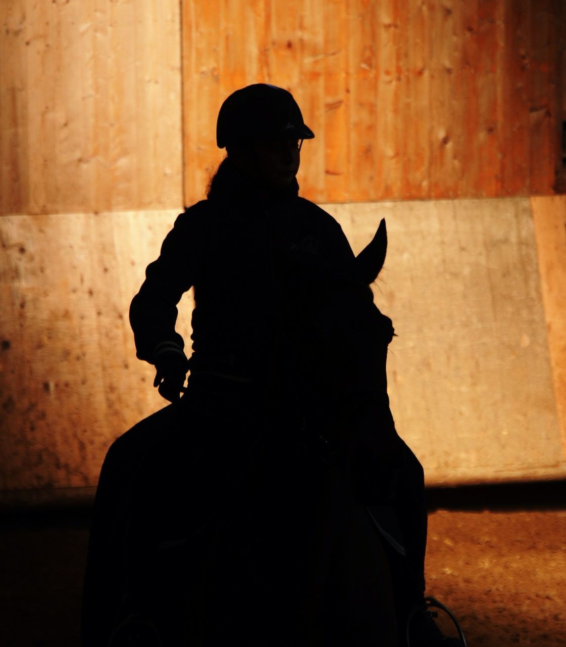 Silhouette of woman on horse