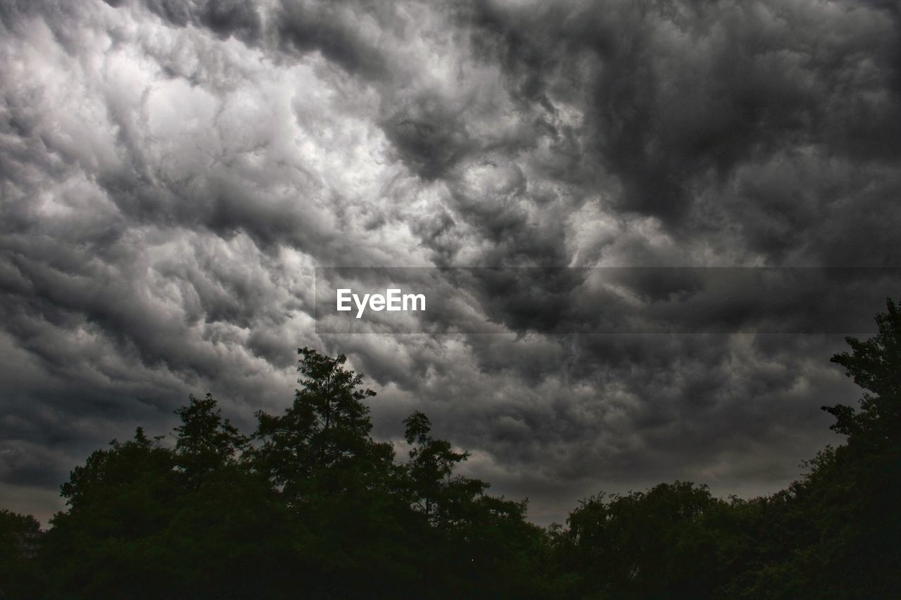 LOW ANGLE VIEW OF STORM CLOUDS OVER TREES