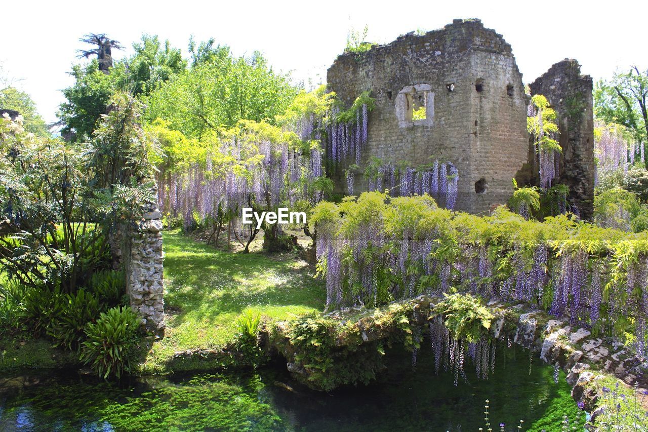 Garden of ninfa during springtime against clear sky