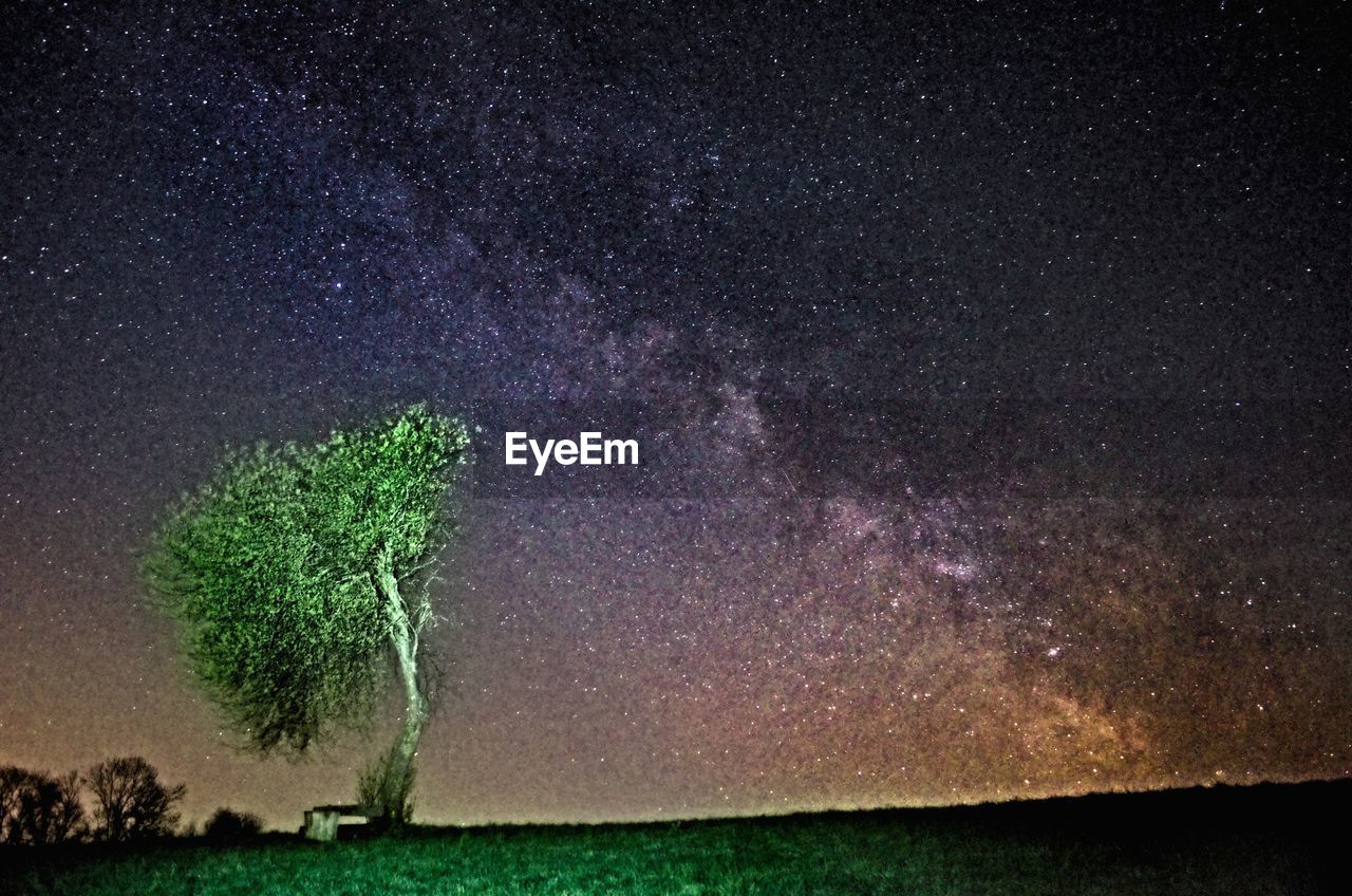 Tree under starry night