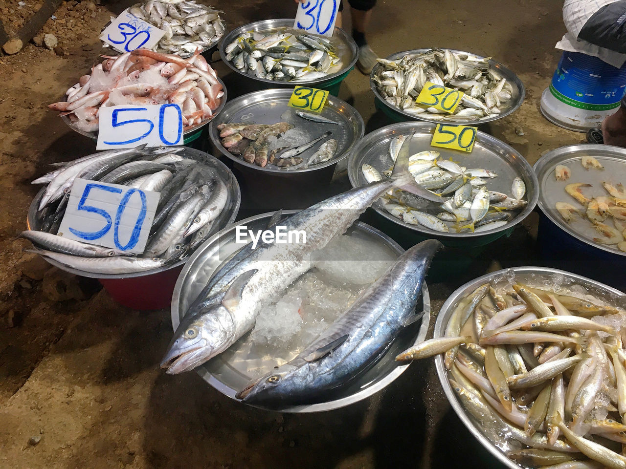 Marine fish in local thai street market