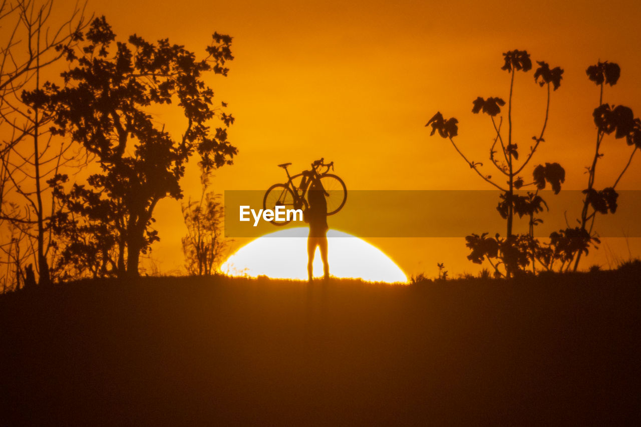 SILHOUETTE OF TREE ON FIELD AGAINST SKY DURING SUNSET