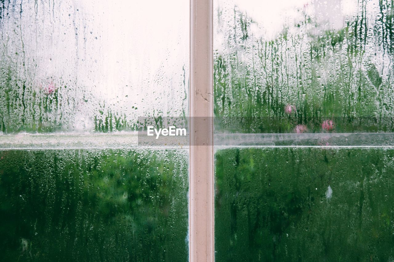 WATER DROPS ON GLASS WINDOW AGAINST TREES