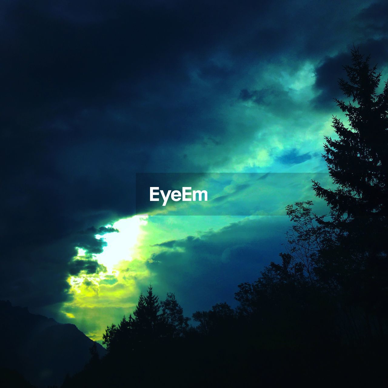 LOW ANGLE VIEW OF SILHOUETTE TREES AGAINST STORM CLOUDS