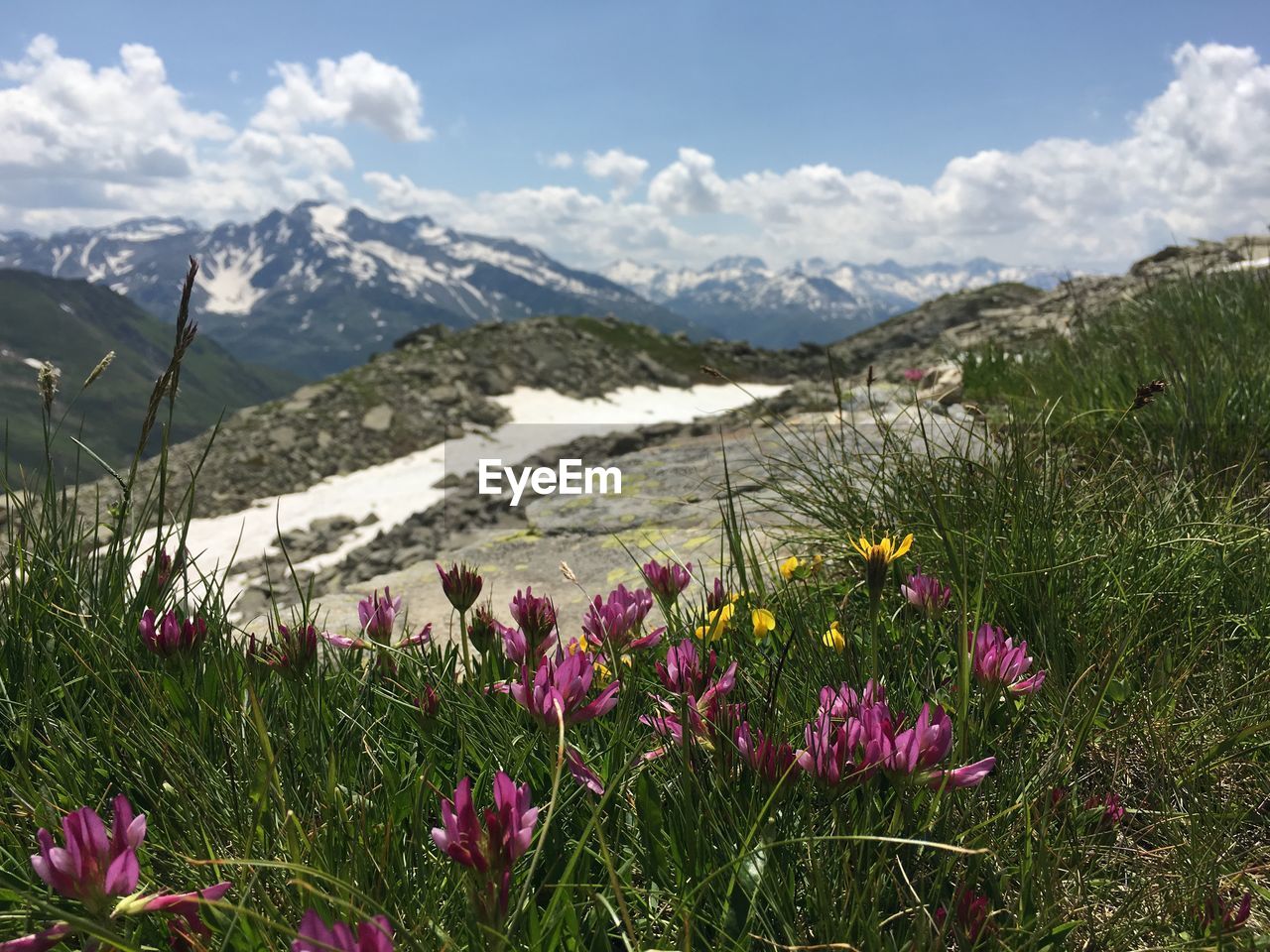 Scenic view of pink and mountains against sky