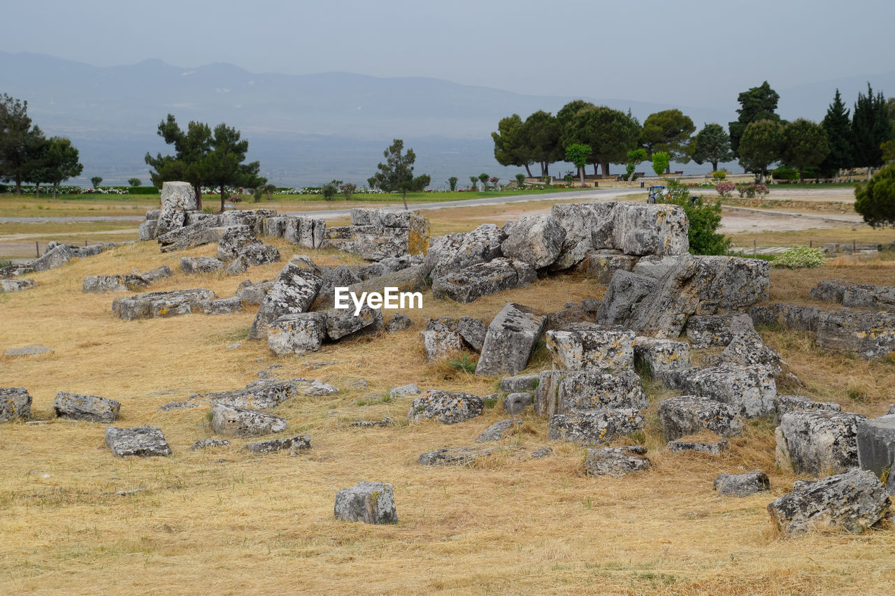 STONE WALL ON FIELD AGAINST TREES