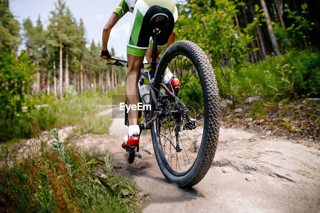 Back male cyclist riding forest trail on mountain bike