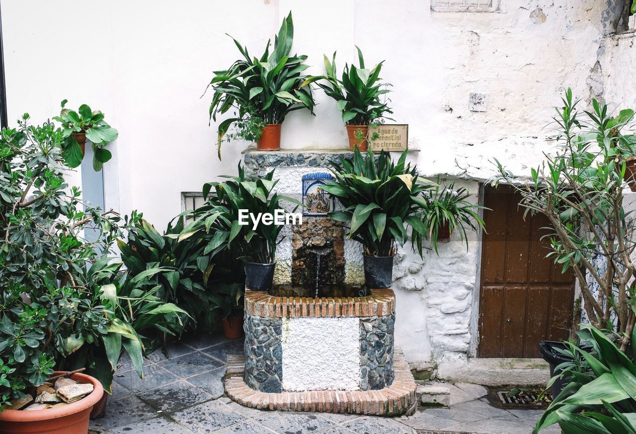 View of drinking fountain and potted plants at backyard of house