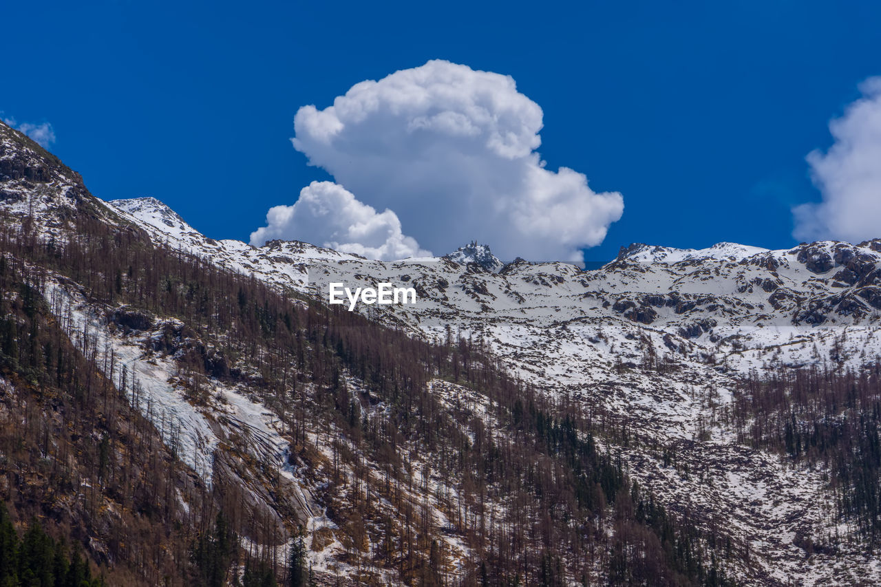 LOW ANGLE VIEW OF SNOWCAPPED MOUNTAIN AGAINST BLUE SKY