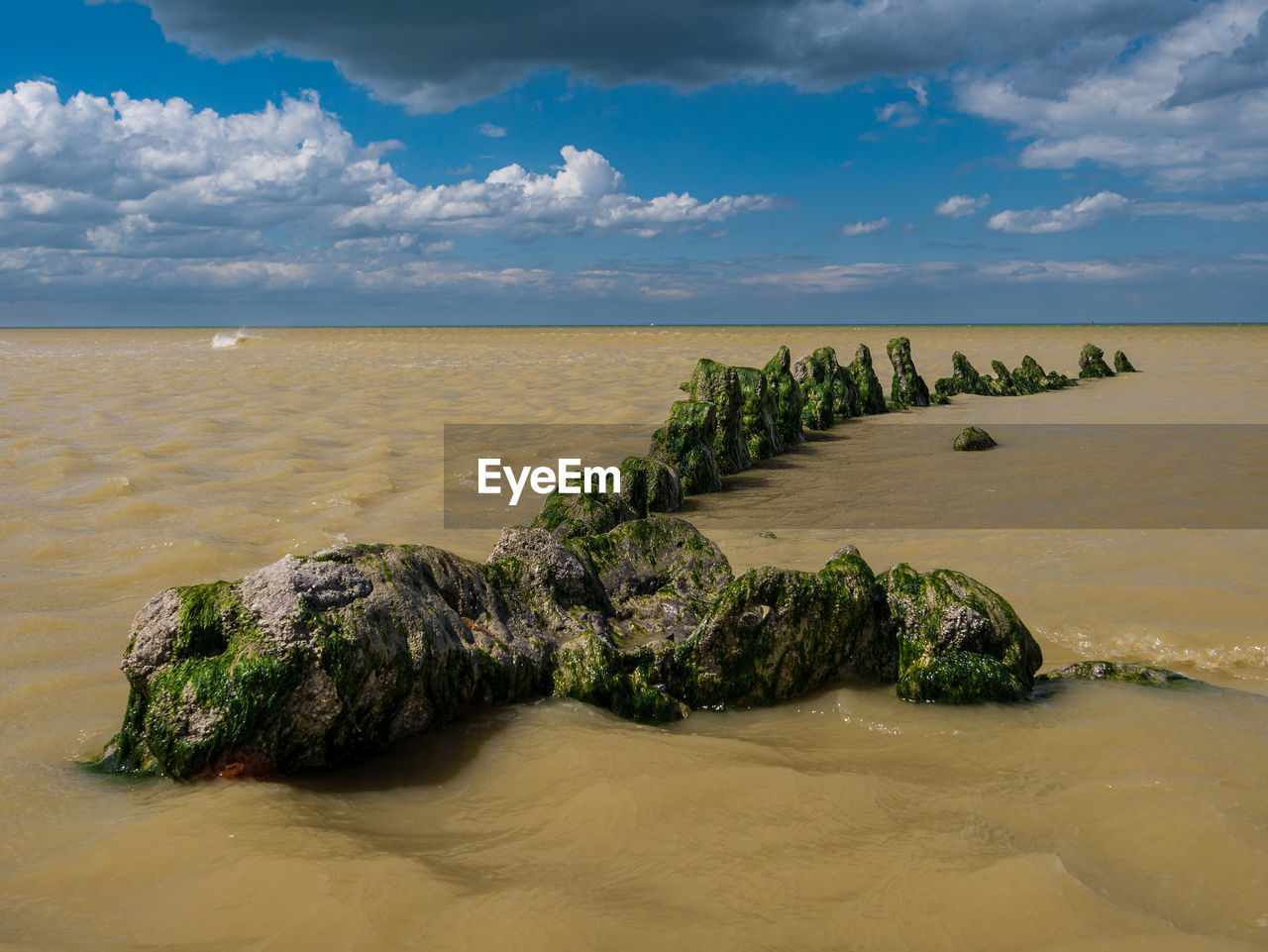 Algae covered leftovers of a shipwreck from a world war ship at a beach in northern france