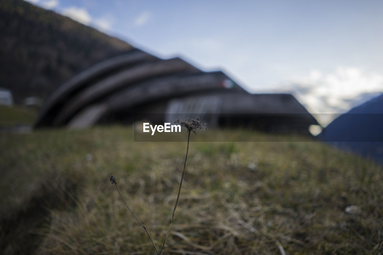 Low angle view of building on grassy field