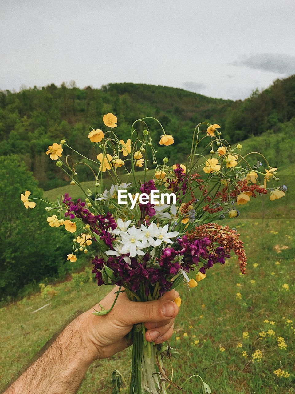 CLOSE-UP OF HAND HOLDING FLOWERING PLANTS ON LAND