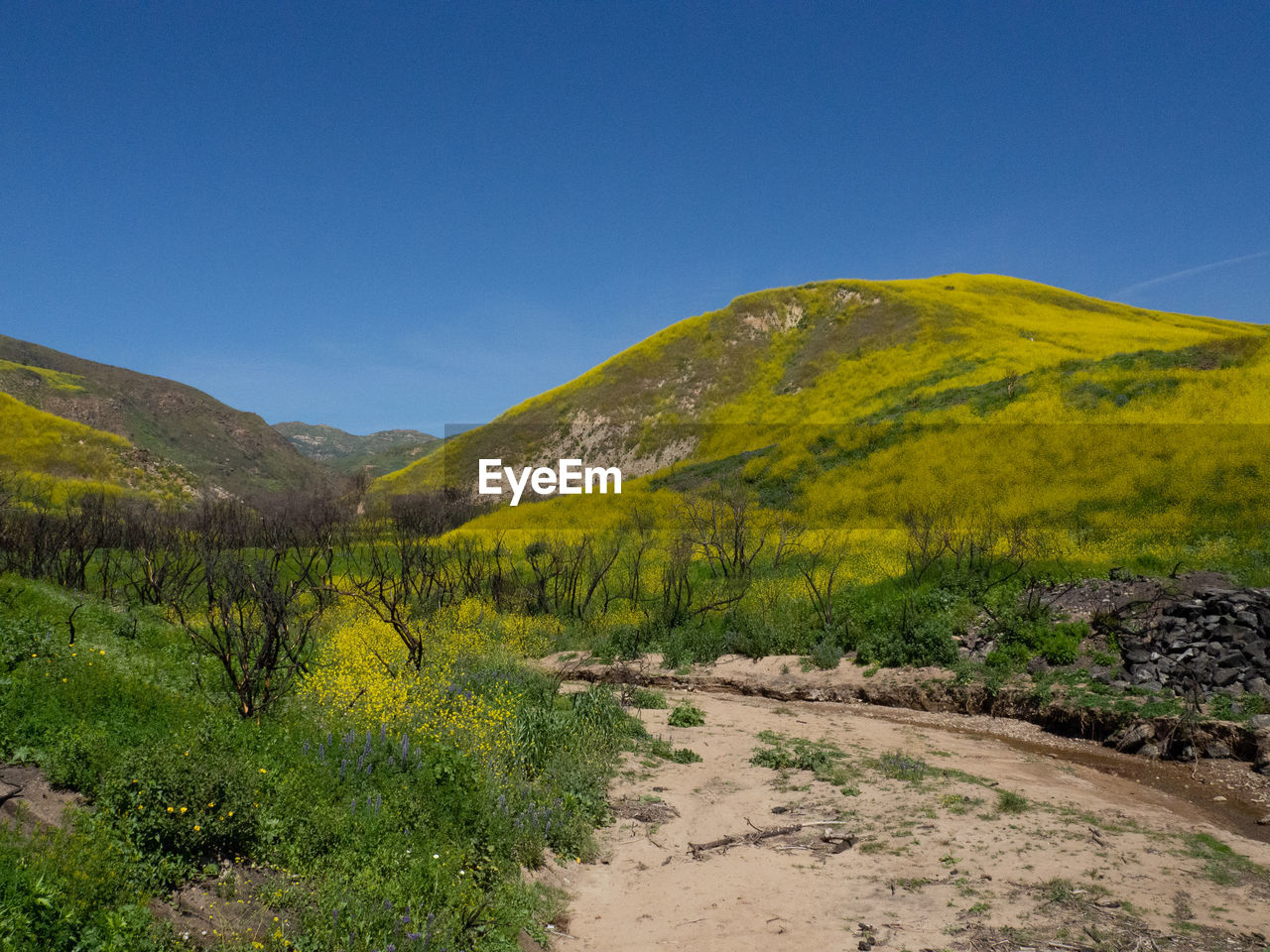 Scenic view of landscape against clear blue sky