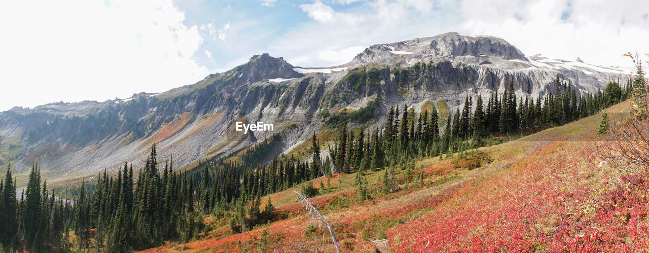 SCENIC VIEW OF LANDSCAPE AND MOUNTAINS