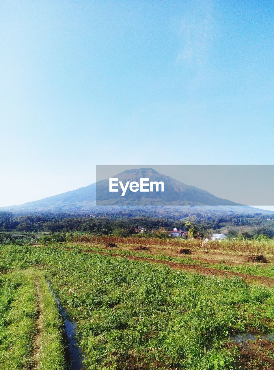 Sumbing mountain in the morning