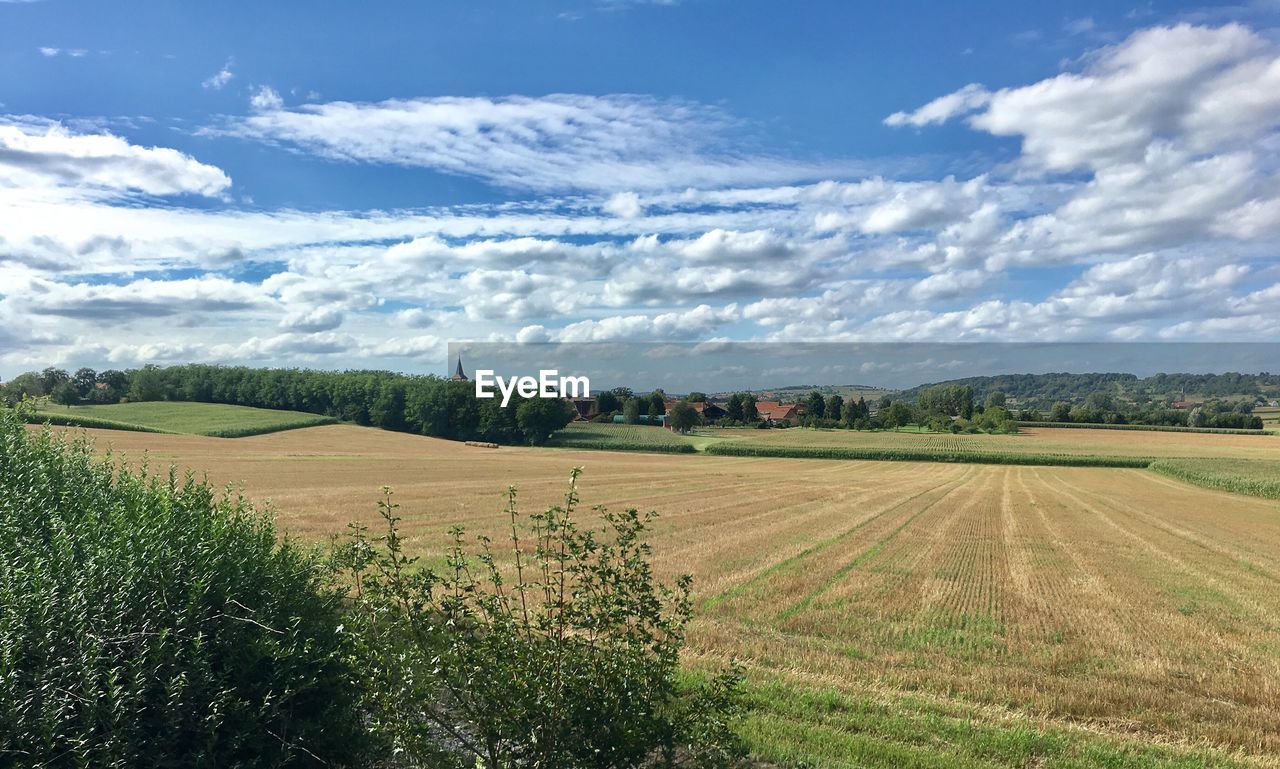 Scenic view of agricultural field against sky