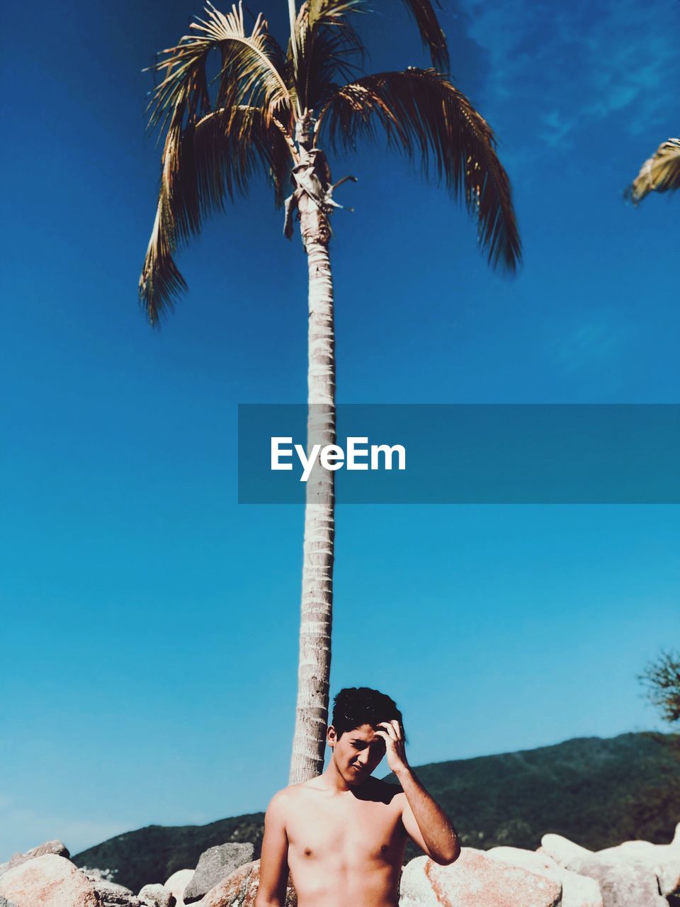 Shirtless man standing against palm tree 