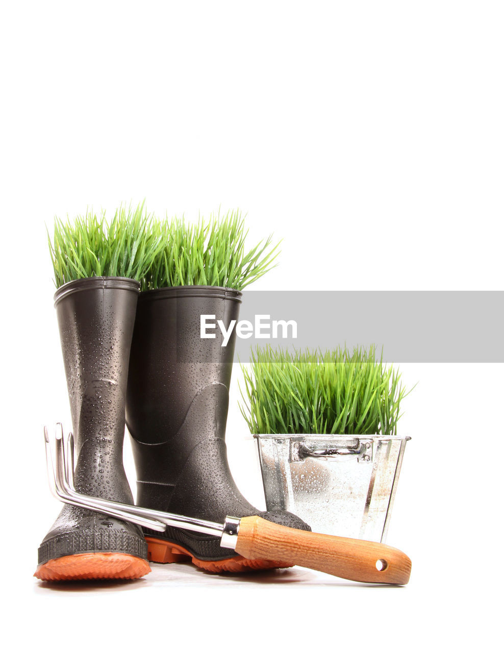 plant, cut out, white background, gardening, studio shot, boot, no people, growth, nature, potted plant, green, equipment, gardening equipment, flowerpot, broom, footwear, indoors, copy space, work tool