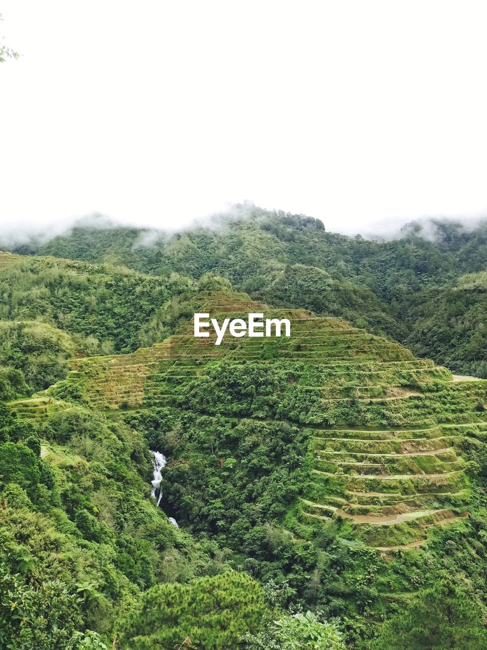 Scenic view of field against clear sky