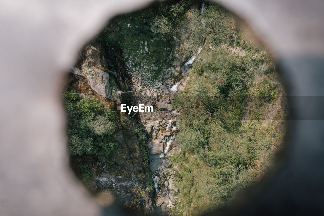 High angle view of moss on rock