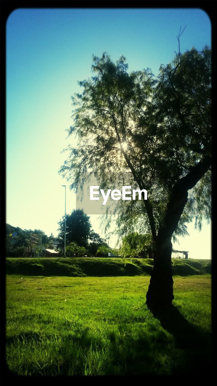 SCENIC VIEW OF GRASSY FIELD AGAINST SKY