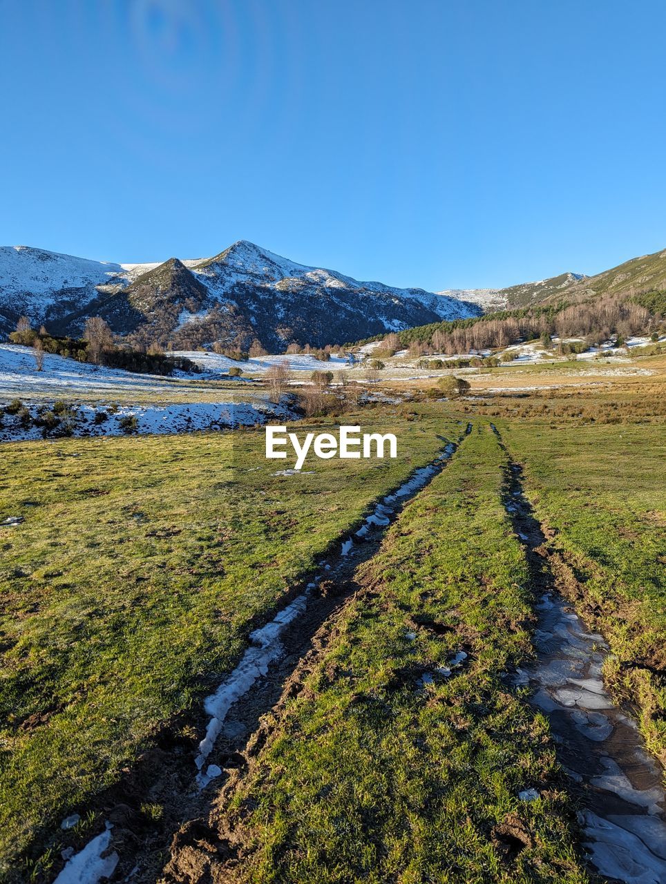 scenic view of field against clear sky