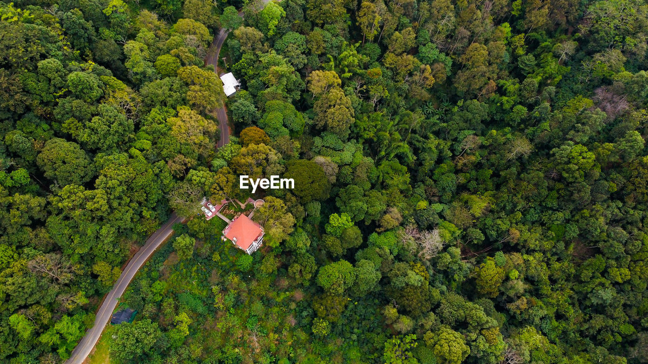 Aerial view with a house in the middle of the forest in the countryside with green