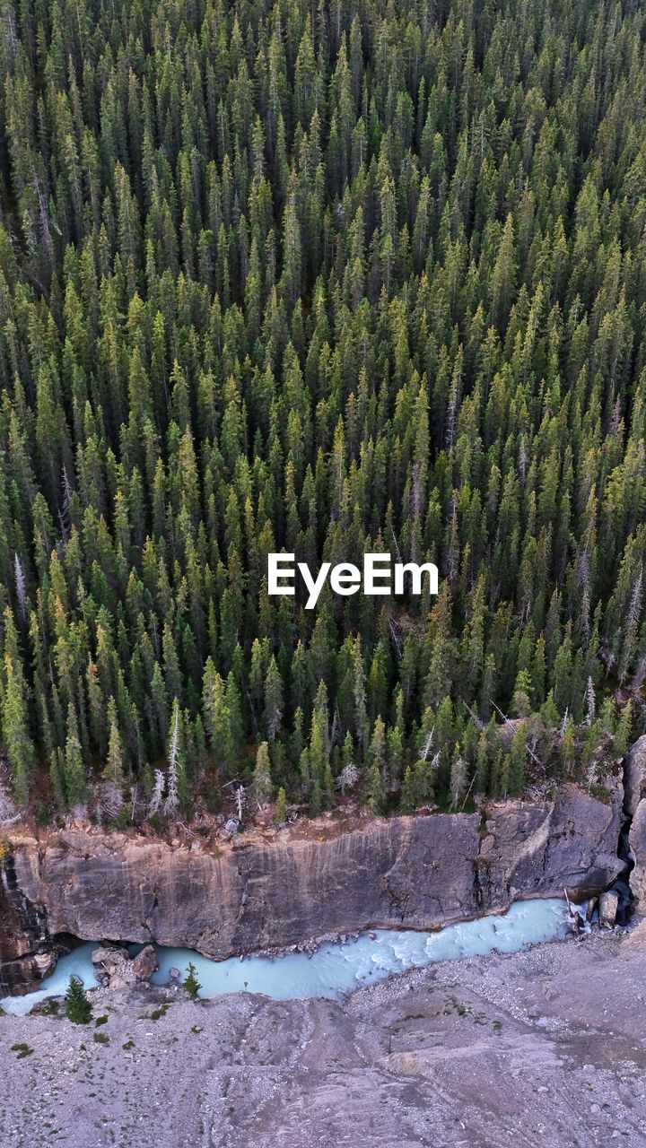 Looking down. - glacier skywalk, icefields parkway, canada