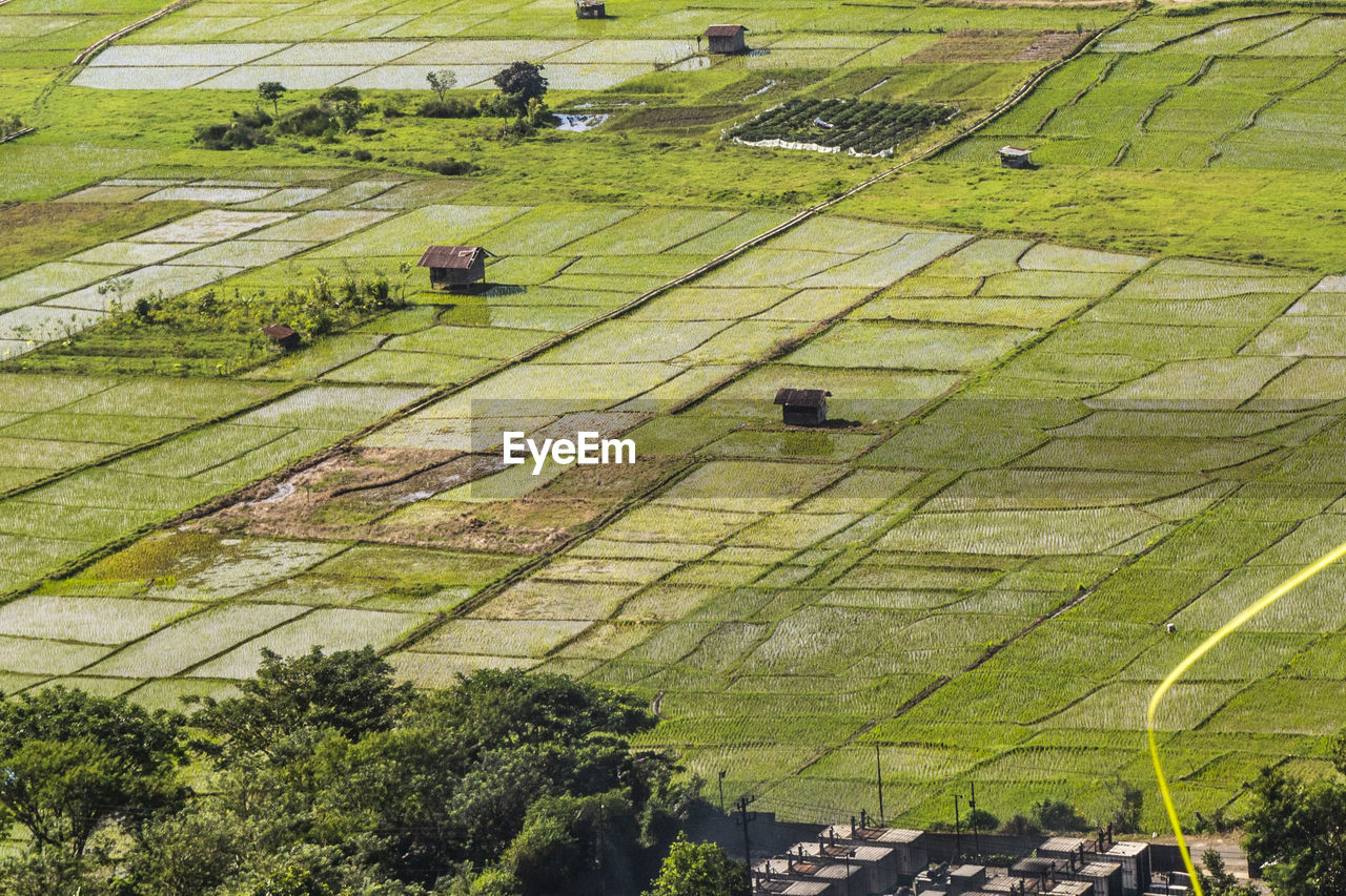 High angle view of agricultural field