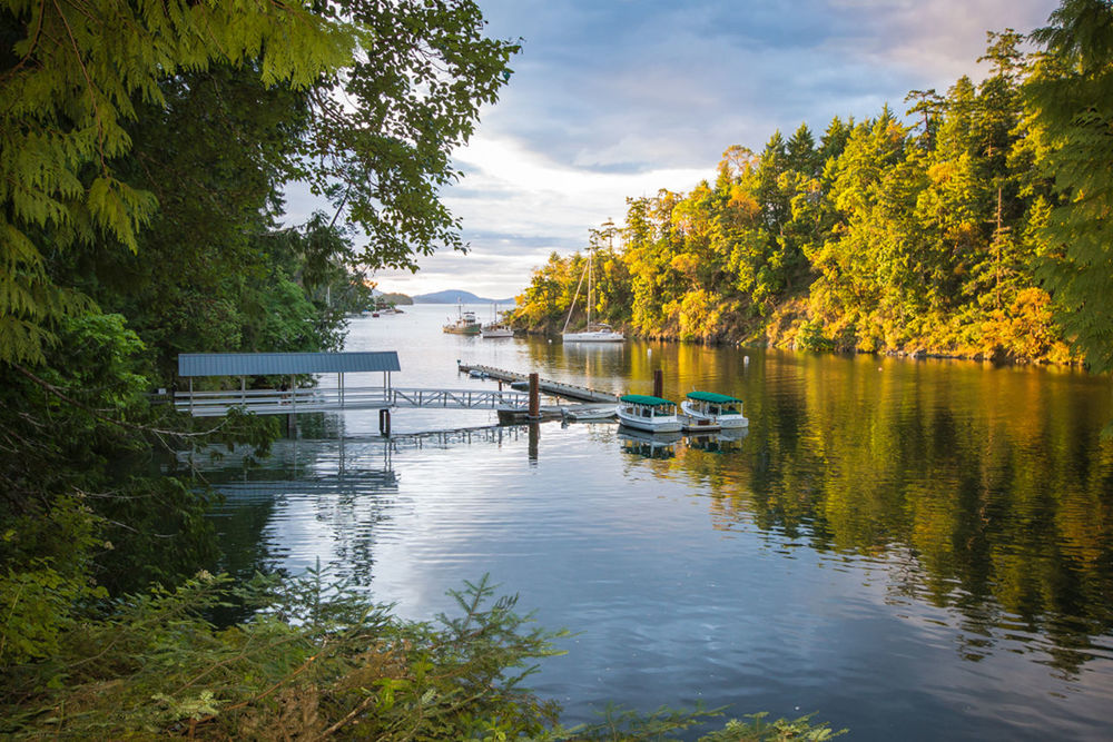 Boats in lake