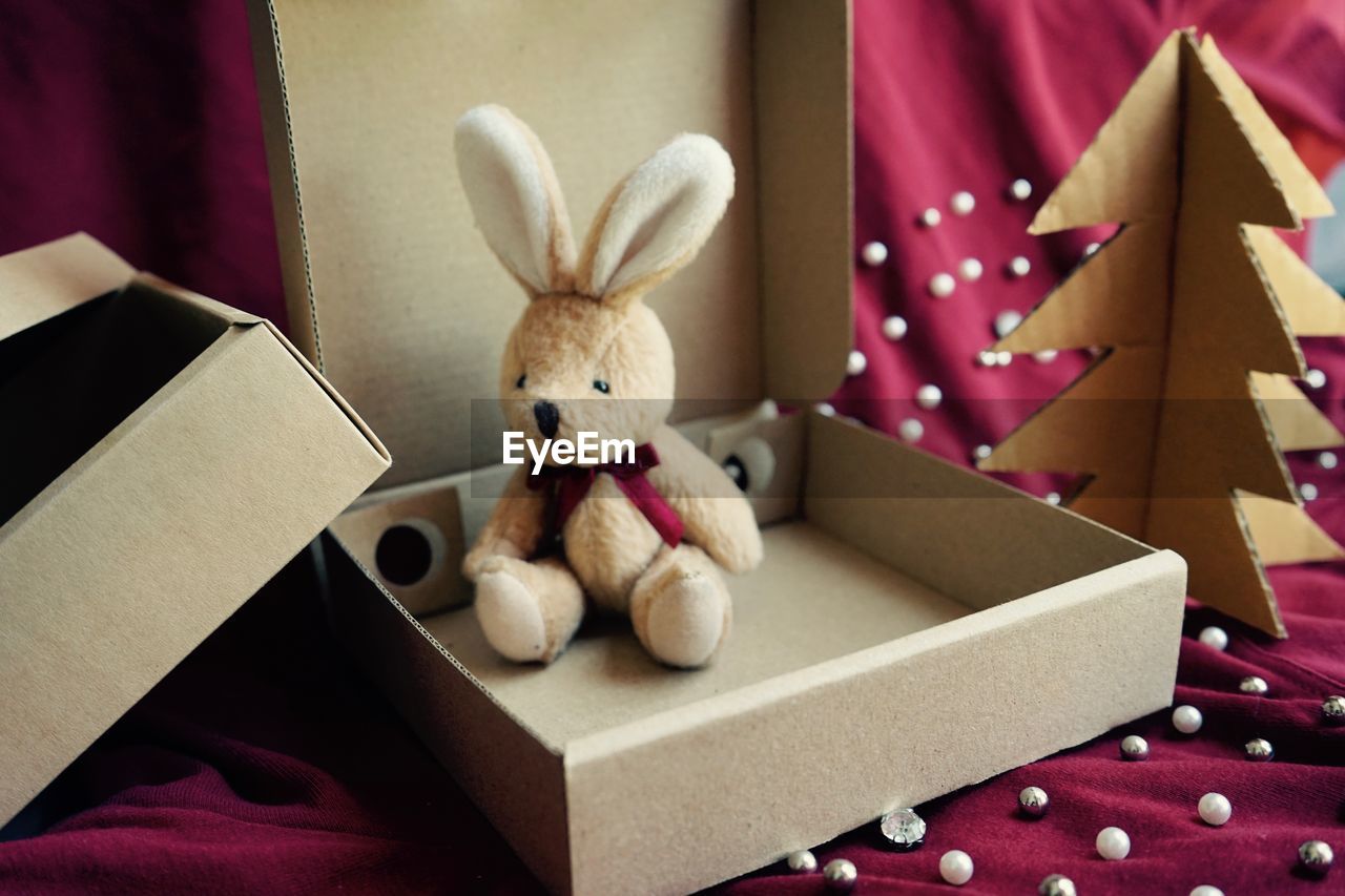 CLOSE-UP OF STUFFED TOY IN THE BOX