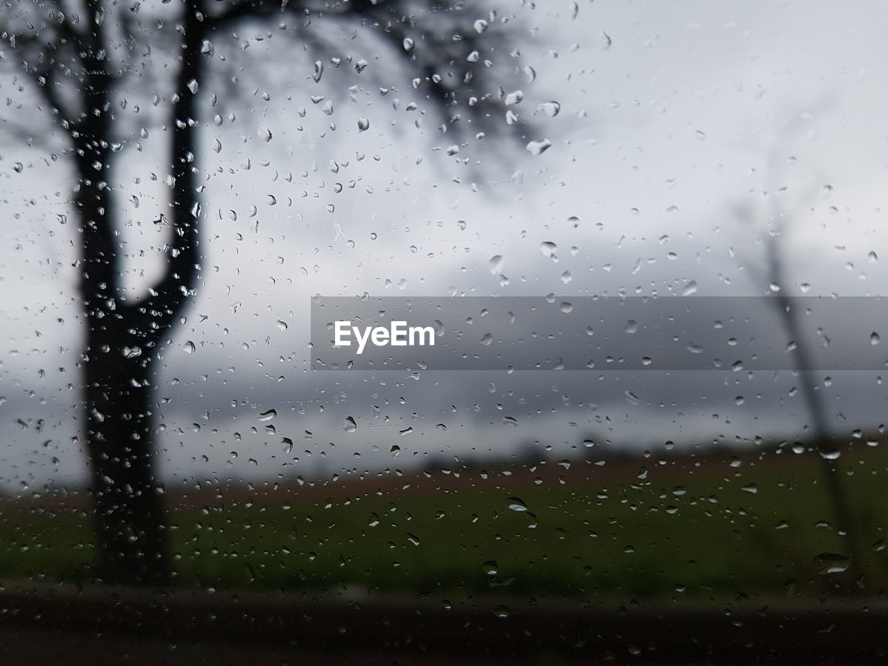 WATER DROPS ON GLASS