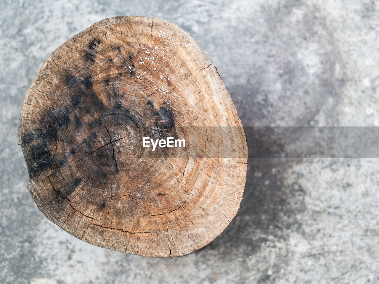 CLOSE-UP VIEW OF TREE STUMP