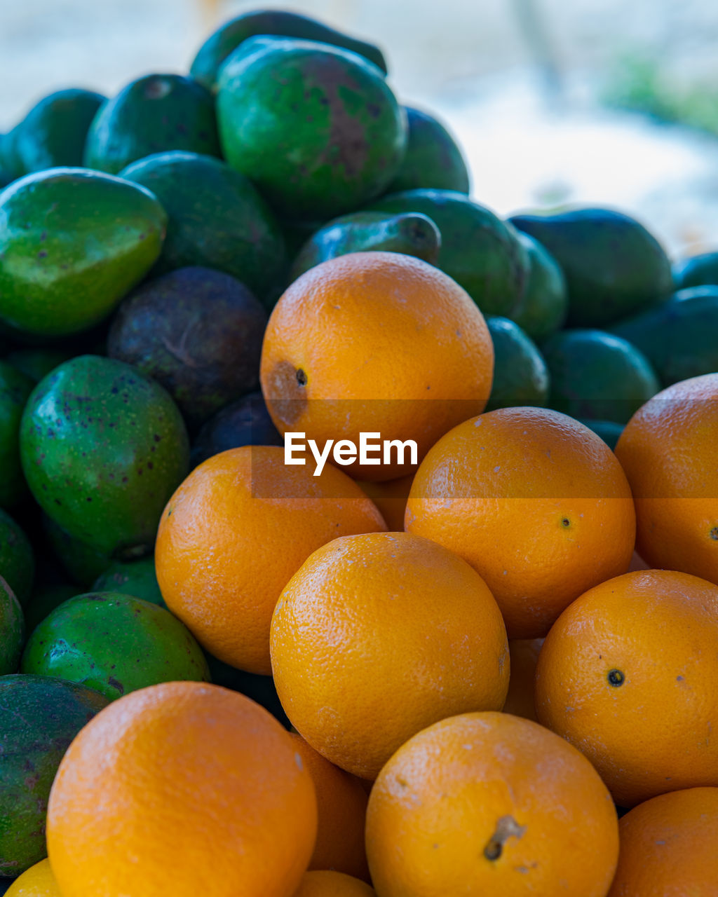 Oranges and mangoes for sale at the market.