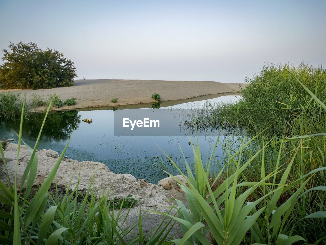 SCENIC VIEW OF LAKE BY TREES AGAINST SKY