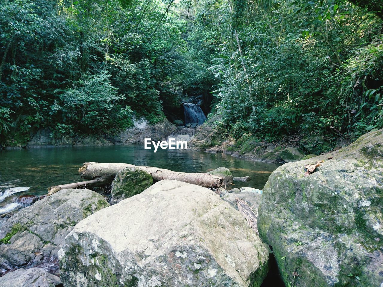 View of waterfall in forest