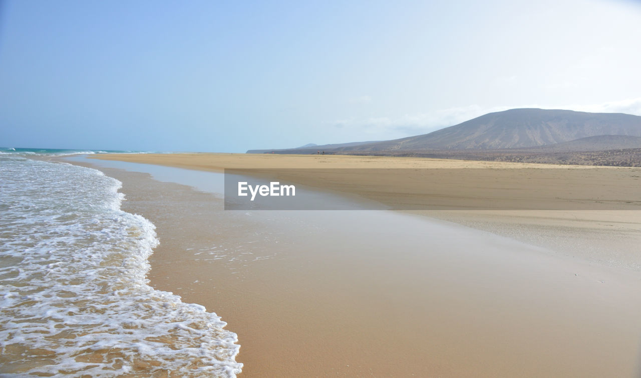 Large fine sand beach of sotavento with low tide in fuerteventura