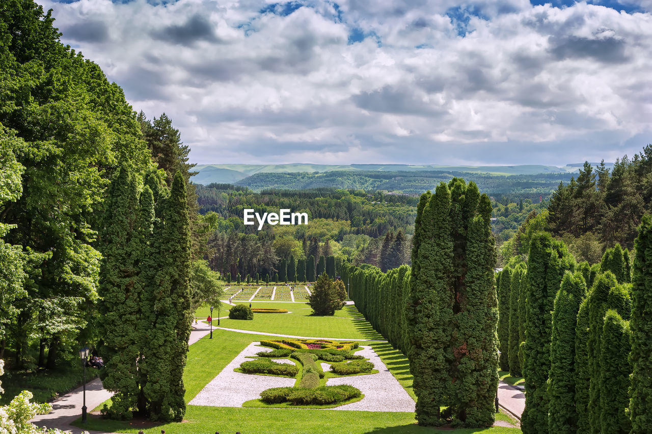 Valley of roses in kislovodsk park, russia