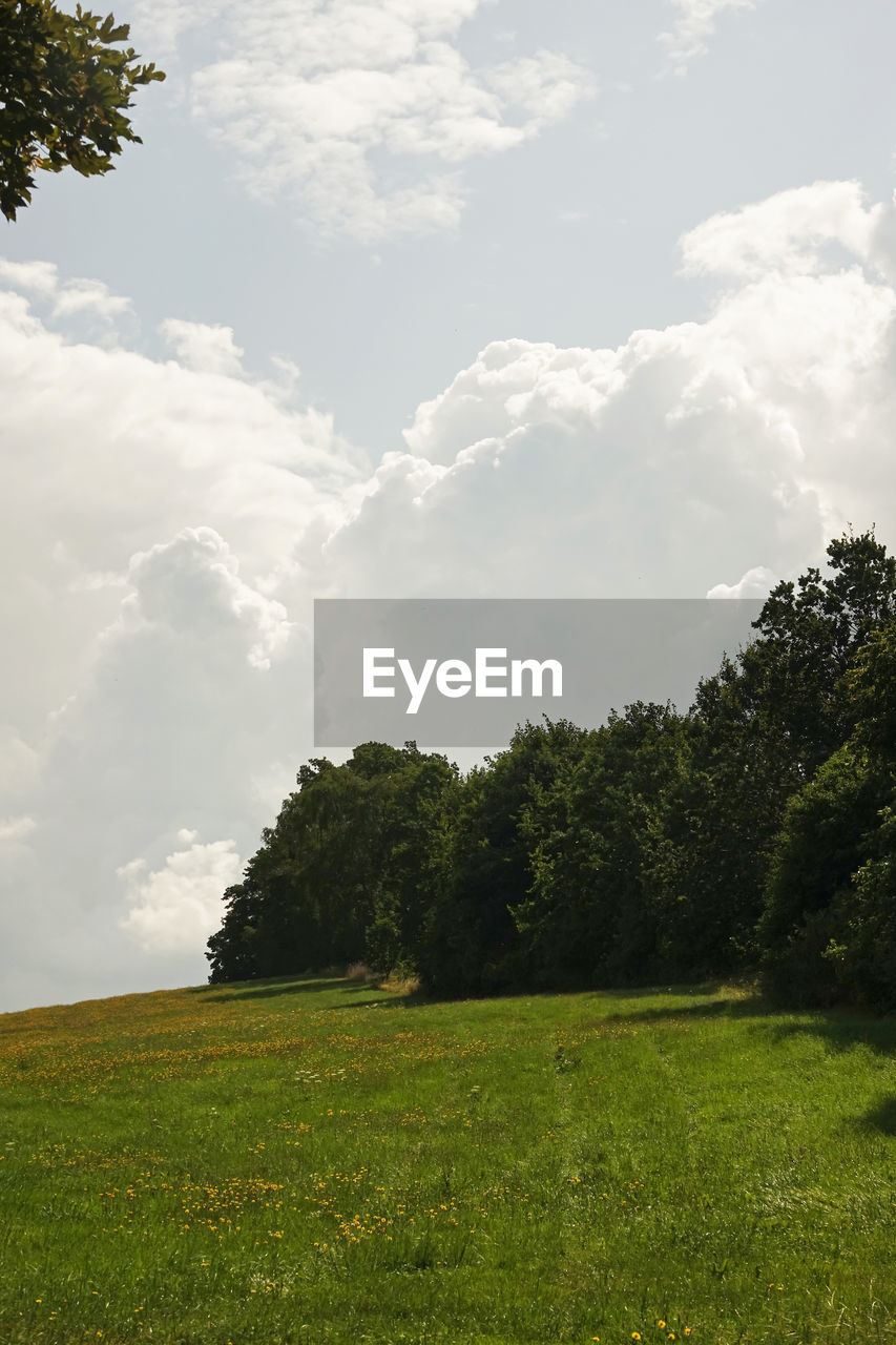 SCENIC VIEW OF LAND AGAINST SKY